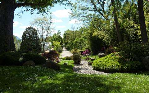 The 5 Best Gardens and Parks in Paris