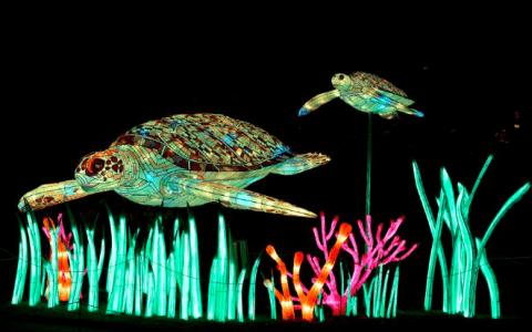Espèces en voie d’illumination at the Jardin des Plantes