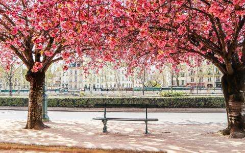 Séjour bien-être et douceur de vivre : début du printemps à l’Hôtel Motte Picquet