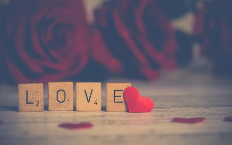 Romantic cruises and walks for Valentine's Day