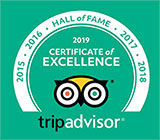 Trip Advisor Logo